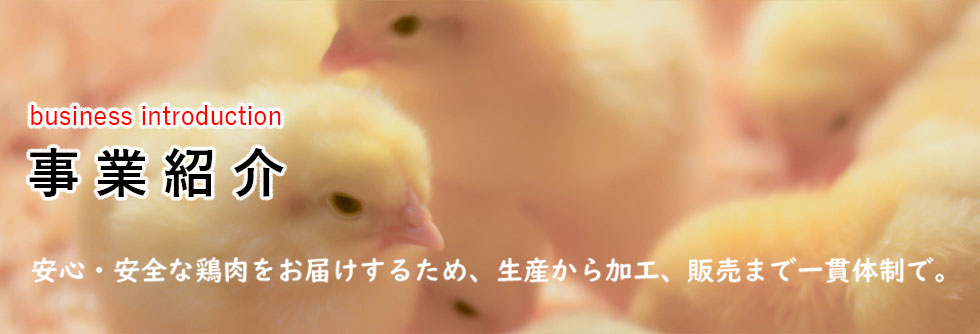 安心・安全な鶏肉をお届けするため、生産から加工、販売まで一貫体制で。